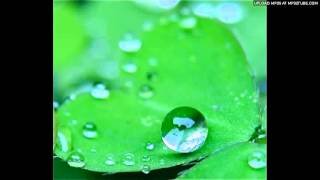 In Gratitude - Plum Village