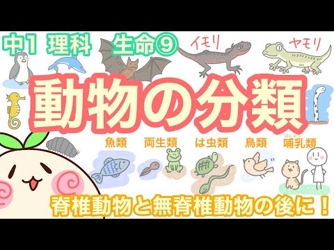 脊椎動物の分類