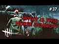 WHAT IS THIS NURSE DOING Dead By Daylight 37