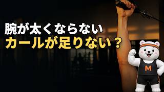 【腕トレ】頭の上で肘を伸ばすと、三頭筋にどれだけ差がついたか。同じ人の左右で12週間 #筋トレ #腕トレ #筋トレ初心者