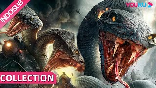 Download lagu Spesial (Double Snake) Pulau Misterius Yang Menjadi Sarang Ular Raksasa! | YOUKU mp3