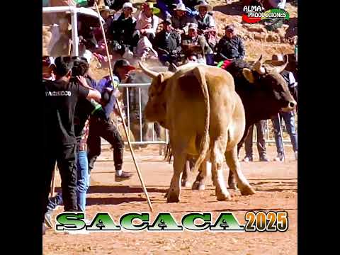 La fiesta de San Isidro SACACA 2026 T3,"Ruso Loco-Mayu Choco". #almaproduccionesbolivia#shortsviral