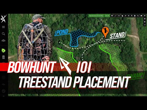 Treestand Placement: Where should you hang your stand?