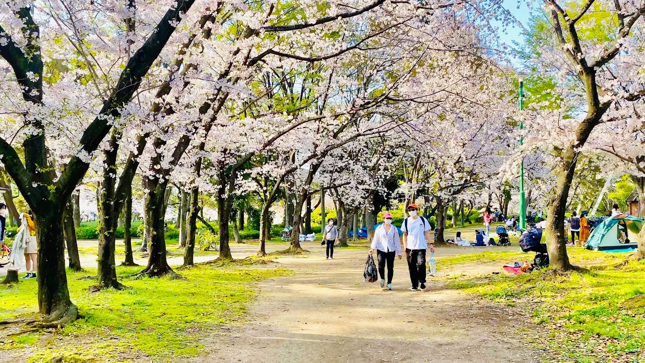 Experience a captivating stroll through serene Meijo Park.