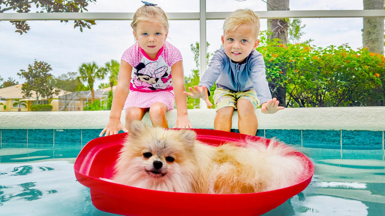 Naomi and David found puppy in the pool