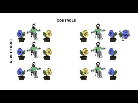 #rC3 -  Scientific Literacy 101 - deutsche Übersetzung