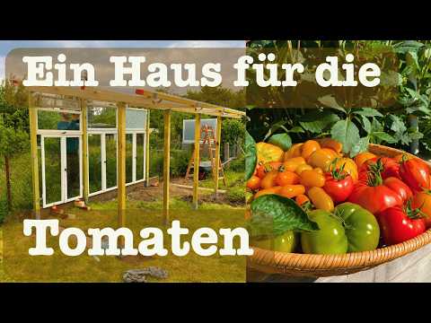 🏡 Pimp my allotment garden 🍅 Build a tomato greenhouse and always have a bountiful harvest, no ma...