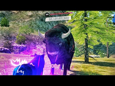 Hunting 15 Champions (Green Hills)| The Wolf