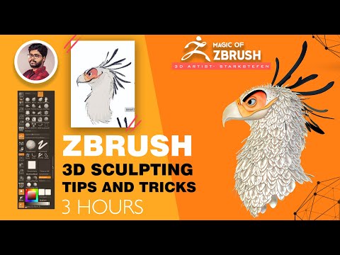Zbrush Basic Eagle Sculpting and HOW to use NANOMESH FOR feather creation Easy Methods