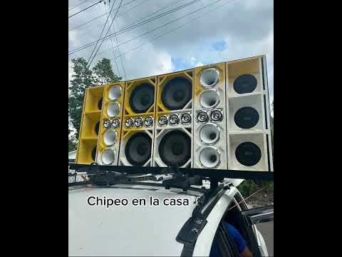 Atomic ft Musicologo - Ponte Freca ( Temas para Musicólogos ) #suscribete #apoyo #viralvideo