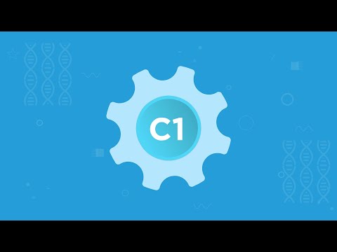 Methylierungszyklus - Welche B-Vitamine eine Rolle spielen