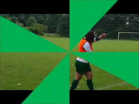 groene ster mo15 1 pakt de dubbel