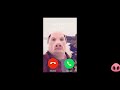 When You Decline John Pork S Call