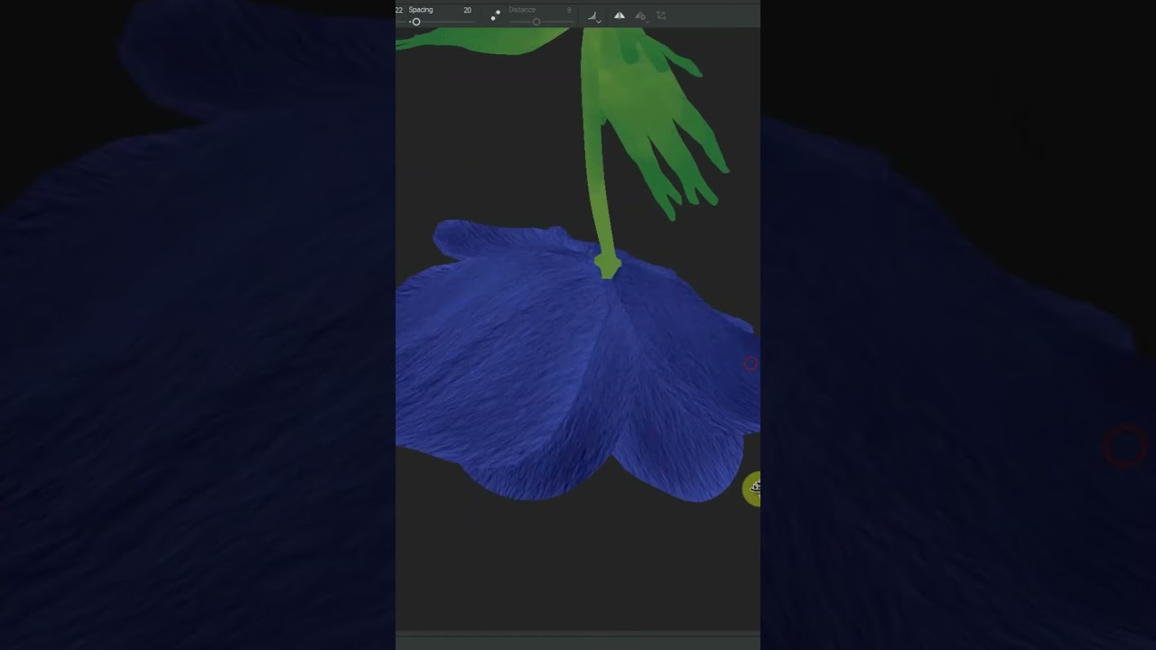 ever heard of the anemone flower? ✧˚ ༘ ⋆｡♡˚