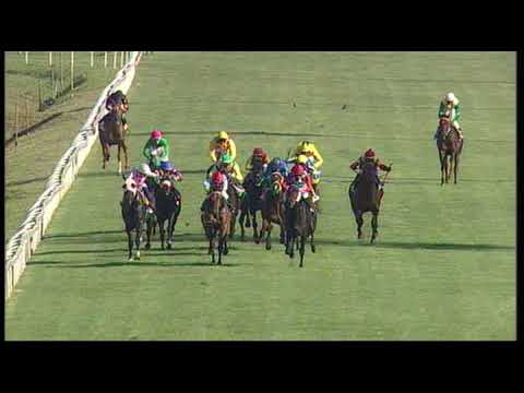 rm 20190331 04 p brunellescaiitris