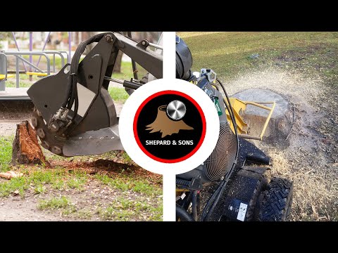 YouTube Video 1