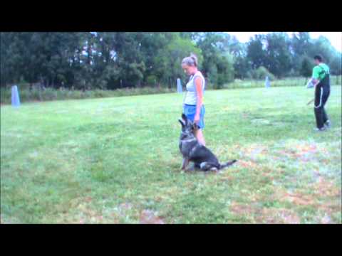 Enjoy z Jukasu - protection on summer camp - 22 months