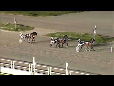 Napoli Trotto 17/06/2023 - 4ª prova di qualifica