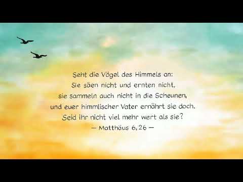 Karl-Hermann Kauffmann - Falle der Endzeit = Humanismus