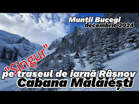 "Singur" pe traseul de iarna Rășnov Glajarie - Cabana Mălăiești, Muntii Bucegi, 29 decembrie 2024