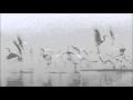 Tchaikovsky Swan Lake No 13 Danses Des Cygnes Tempo De Valse