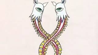 The Sound of Animals Fighting - Act III: Modulate Back to the Tonic [HQ]