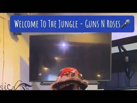 Welcome to the Jungle Guns N Roses Cover by Igor Sihombing