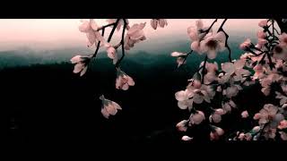 Download lagu Story WA pemandangan keren mp3 Download lagu Story WA pemandangan keren mp3