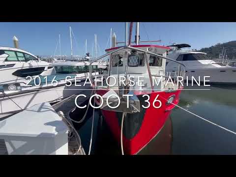 Seahorse 36-COOT video
