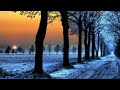 Mars Lasar - Hush