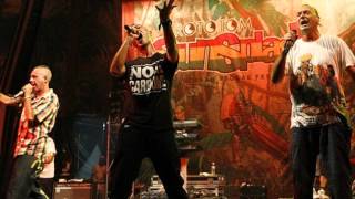 - Una Sula - Live rototom sunsplash 2009 - Sud Sound System