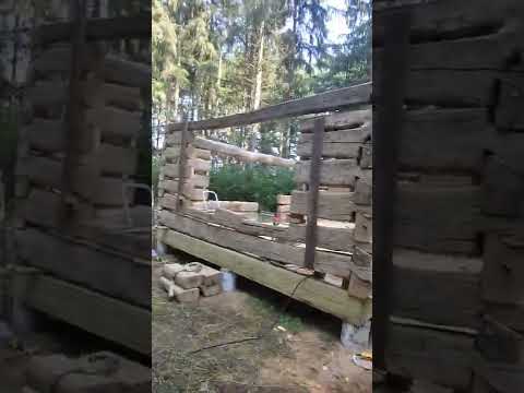 Day 2 at 130 yr old  log cabin restoration