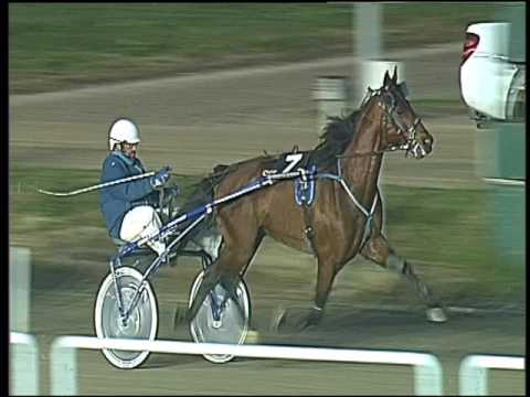 Trotto 24/02/2017 - 7ª corsa