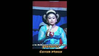 Download lagu suara merdu,,,,,, coyor p4non b4r4ny4y #shorts mp3
