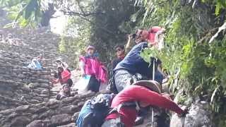 trakar 2014 Wayna Picchu