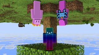 Can You Beat Minecraft If Gravity Is Random?