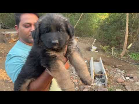 February 25, 2024(3)