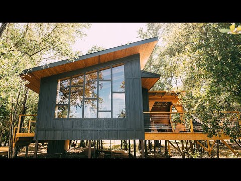 Tiny BNB: Tree House Time Turner