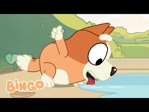 Nice Work, Bingo! 😄 🧡 | Bluey Series 1 Highlight - Bike | Bingo - Official Channel