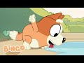 Nice Work Bingo Bluey Series 1 Highlight Bike Bingo Official Channel