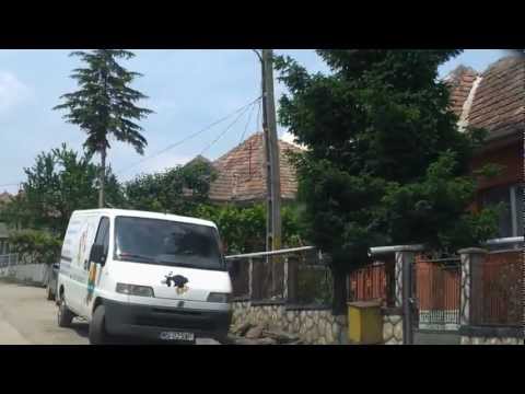 Zau de Campie - zona "Gostat"