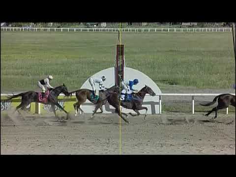 CARRERAS SINT PAYSANDU 221208 c06 - 1° QUE ANIMAL
