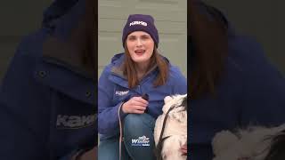 Brittany Foster has some tips to help you get through the winter