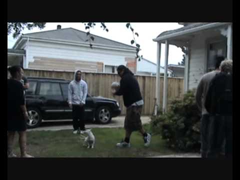 Bounce micassassins.wmv