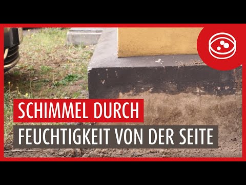 Ursachen von Feuchtigkeit und Schimmel: Seitlich eindringende Feuchtigkeit