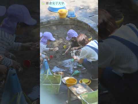 幼稚園教諭・保育士就職実績