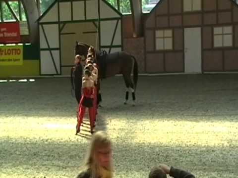 Wittegheit 1 CVI Krumke