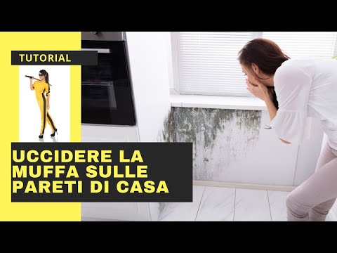 How to Remove Mold Permanently [TUTORIAL]