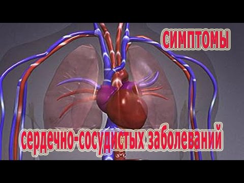 Targa contro tutti i vermi Helminth in un fegato