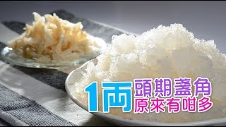 Sam推介,盞角發頭好!